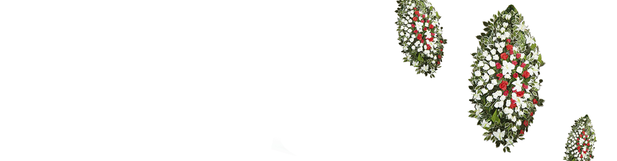 banner1