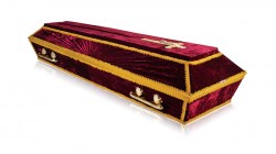 photo1